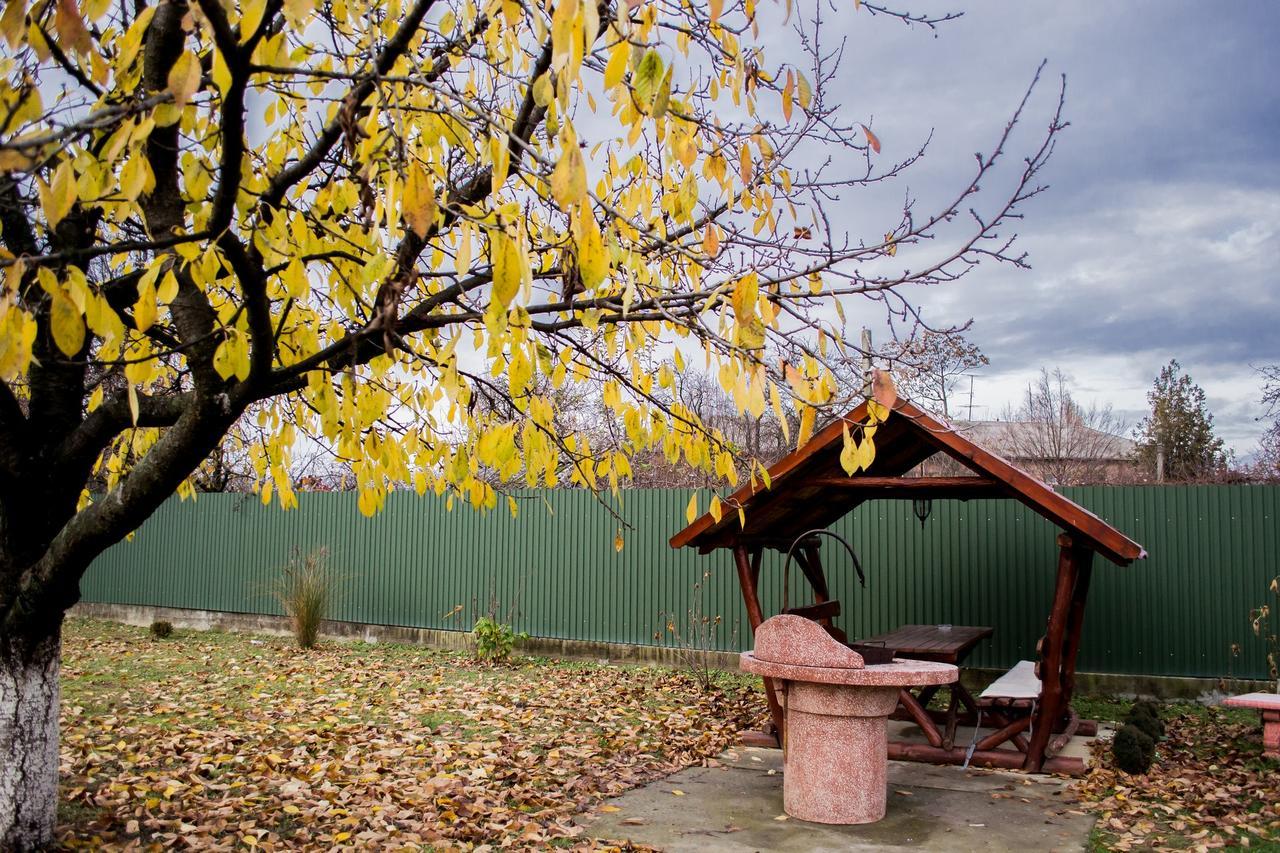 Hotel Beauty Complex Berehowo Zewnętrze zdjęcie